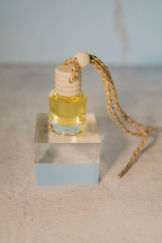 Blue Soleil Air Fresheners / Car Diffusers